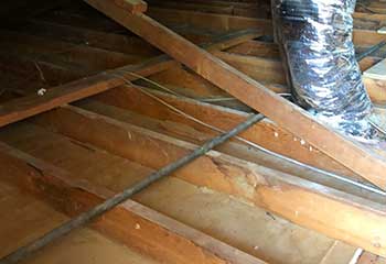 Crawl Space Repair in Piedmond | Attic Cleaning Oakland