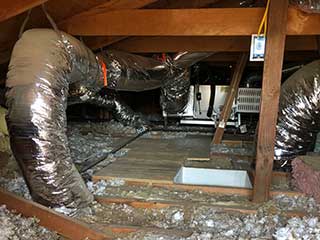 Common Attic Problems | Attic Cleaning Oakland, CA Common Attic Problems | Attic Cleaning Oakland, CA